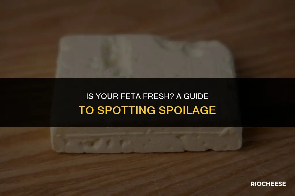 how to know if feta cheese is bad