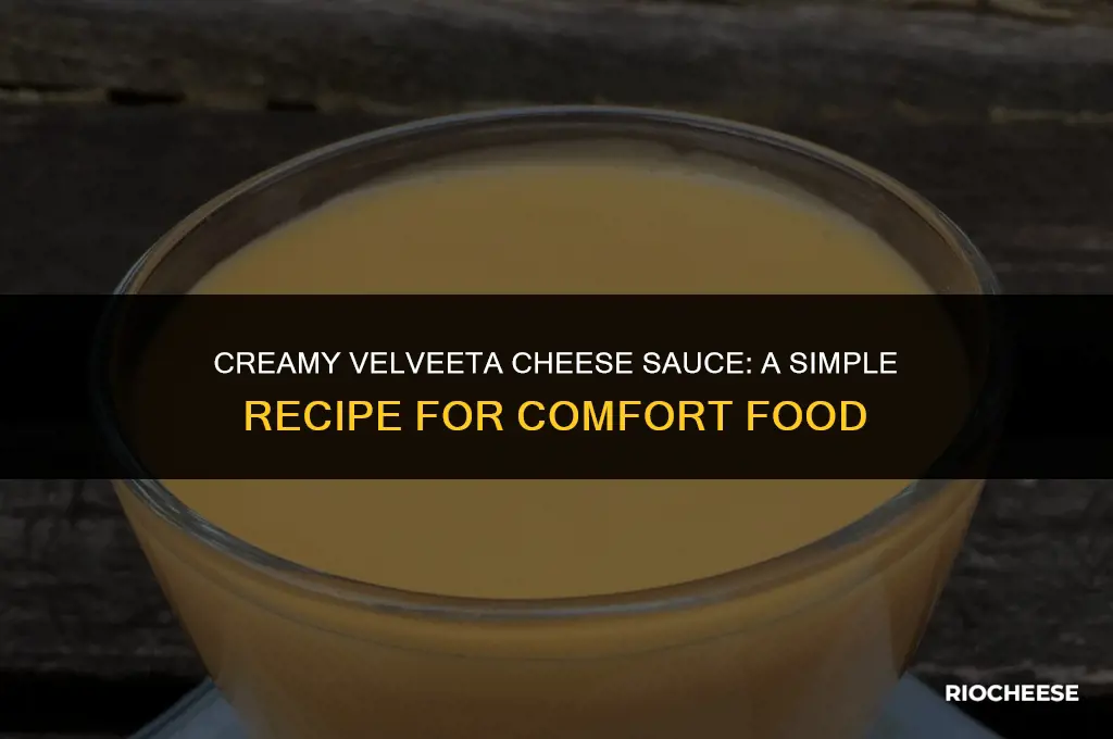 how to make cheese sauce using velveeta