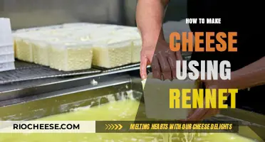 Crafting Artisanal Cheese: A Step-by-Step Rennet Guide