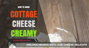 Transform Your Cottage Cheese: A Guide to Creamy Perfection