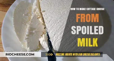 From Sour to Scrumptious: A Guide to Making Cottage Cheese at Home
