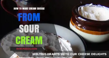 From Sour to Creamy: A Simple Guide to Making Cream Cheese at Home