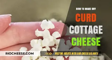 From Scratch: The Simple Art of Making Dry Curd Cottage Cheese