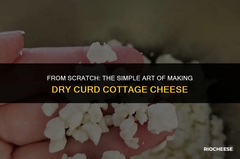 how to make dry curd cottage cheese