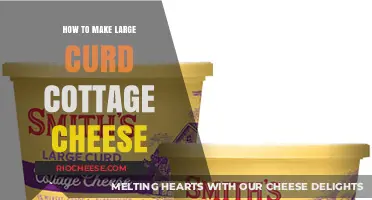 Crafting Creamy Perfection: A Guide to Large Curd Cottage Cheese