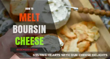Mastering the Art of Melting Boursin Cheese: A Gourmet's Guide
