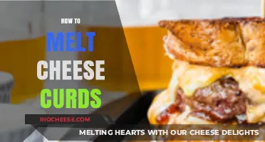 The Art of Melting Cheese Curds: A Gourmet's Guide