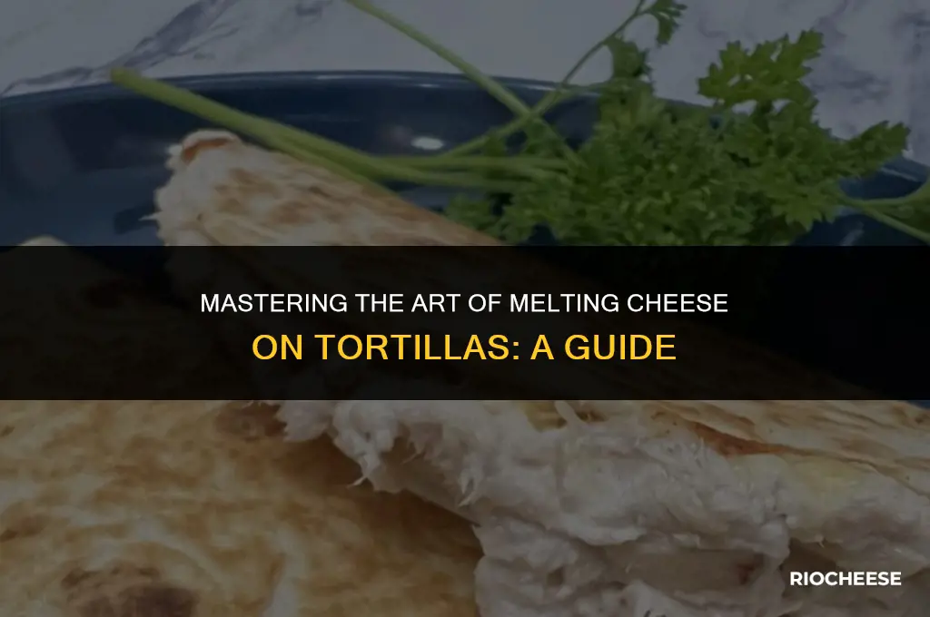 how to melt cheese on tortilla