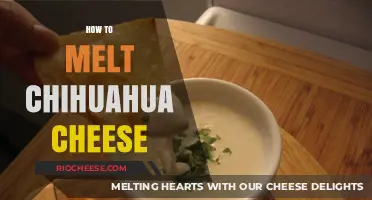 Mastering the Art of Melting Chihuahua Cheese: A Delicious Guide