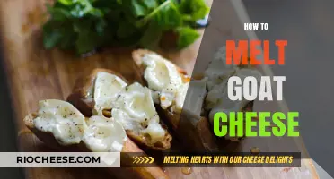 Mastering the Art of Melting Goat Cheese: Tips and Tricks