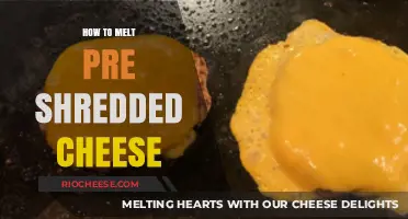 Mastering the Art of Melting Pre-Shredded Cheese: Tips and Tricks