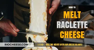 The Art of Melting Raclette Cheese: A Delicious Guide
