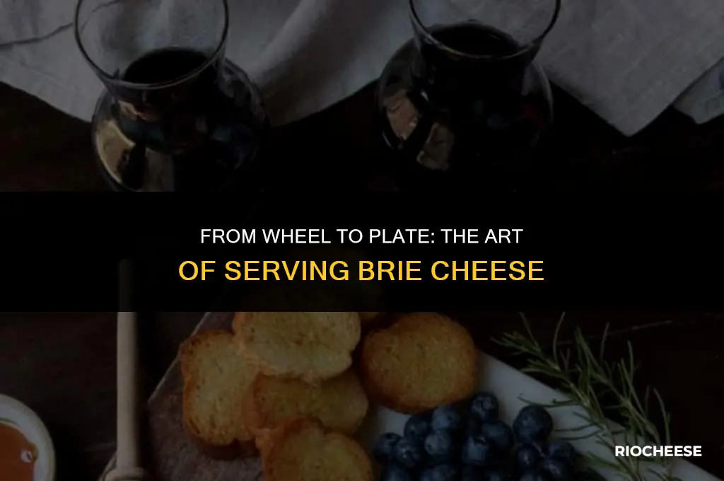 how to prepare brie cheese for serving