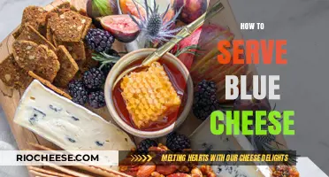 A Guide to Serving Blue Cheese: Tips and Tricks