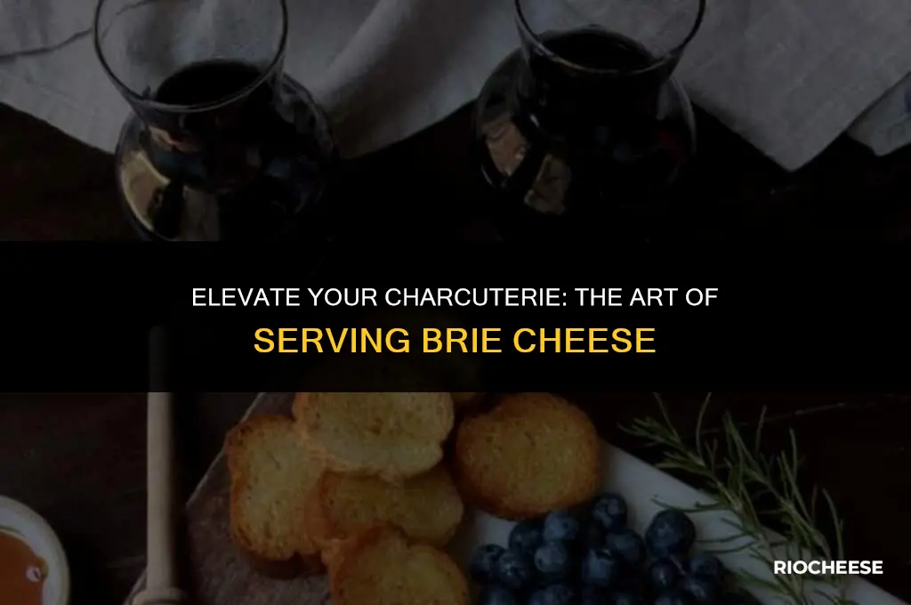 how to serve brie cheese on a charcuterie board