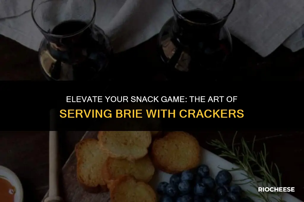how to serve brie cheese with crackers