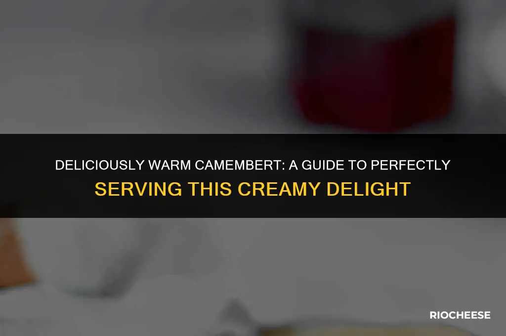 how to serve camembert cheese warm