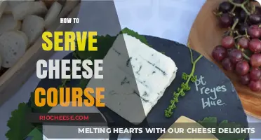 Elevate Your Dinner Party: The Art of Serving a Cheese Course