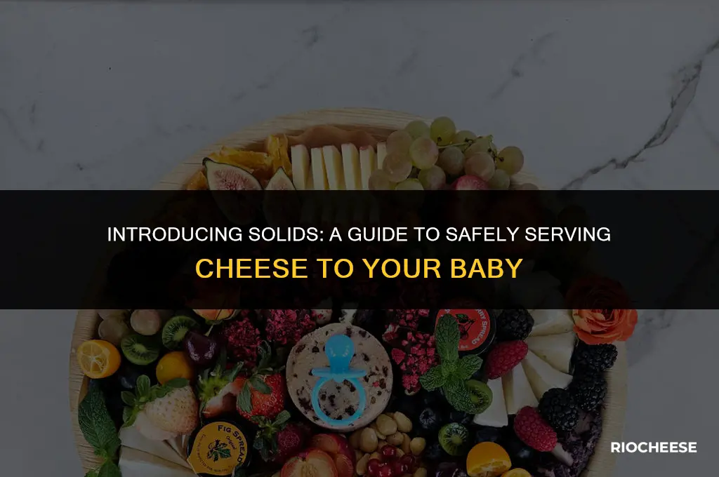 how to serve cheese to baby