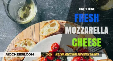 Delight Your Guests: The Art of Serving Fresh Mozzarella Cheese