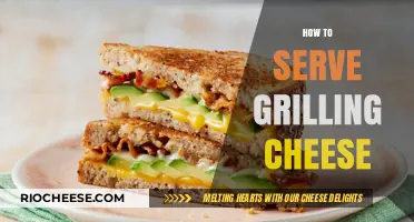 Savor the Simplicity: The Art of Perfect Grilled Cheese