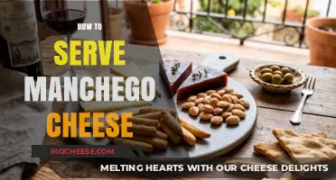 Savoring Spain: The Art of Serving Manchego Cheese