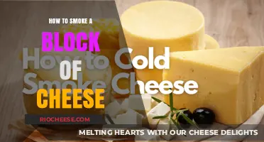 The Art of Smoking Cheese: A Gourmet's Guide to Perfectly Smoked Blocks