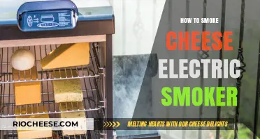 Mastering the Art of Smoking Cheese in an Electric Smoker