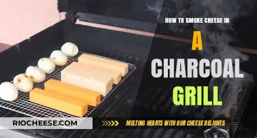 Mastering the Art of Smoking Cheese on a Charcoal Grill