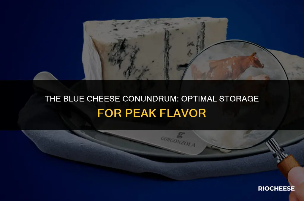 how to store blue cheese
