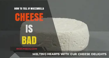 Is Your Mozzarella Spoiled? Signs to Check Before Cooking