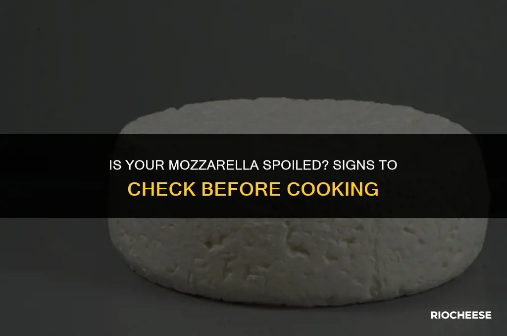 how to tell if mozzarella cheese is bad