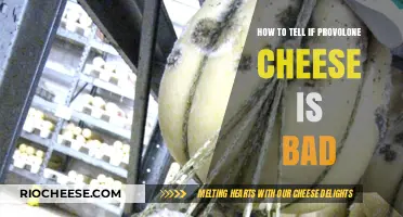 Is Your Provolone Past Its Prime? Signs to Check