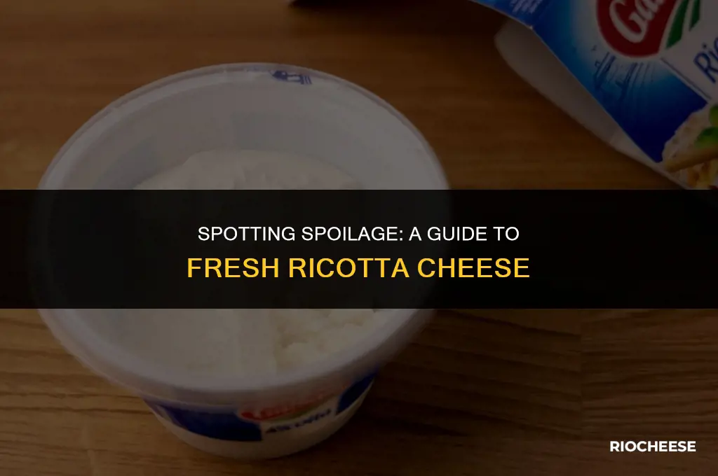 how to tell if ricotta cheese is bad