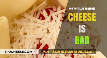 Signs Your Shredded Cheese Has Gone Bad: A Guide