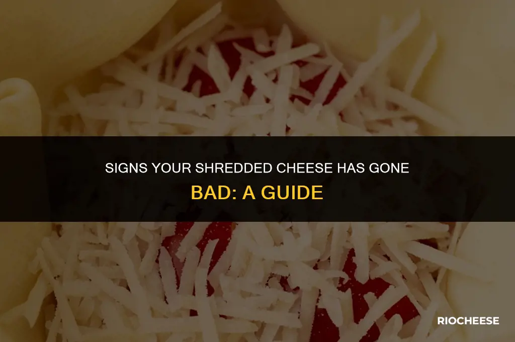 how to tell if shredded cheese is bad