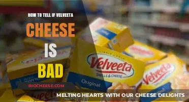 Decoding Velveeta's Shelf Life: Signs Your Cheese Has Gone Bad
