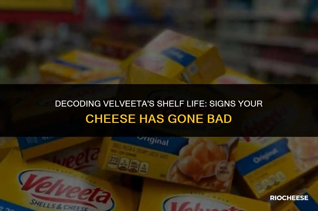 how to tell if velveeta cheese is bad