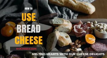 Delicious Discoveries: Unleashing the Potential of Bread and Cheese