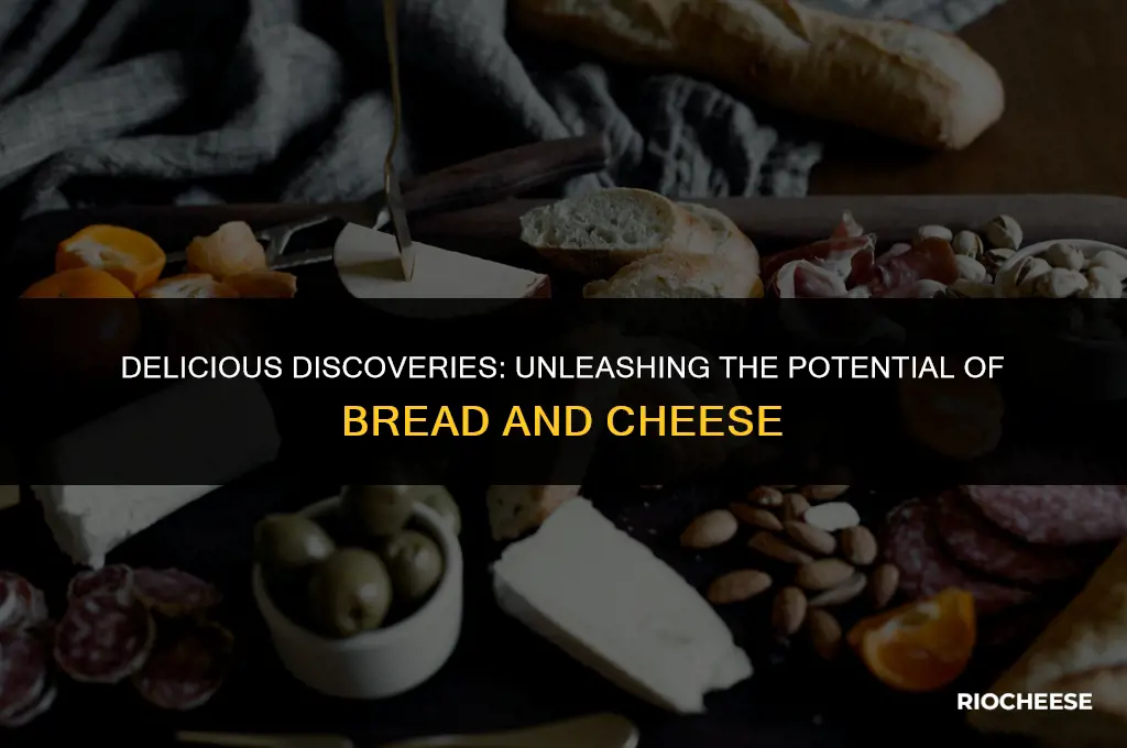 how to use bread cheese
