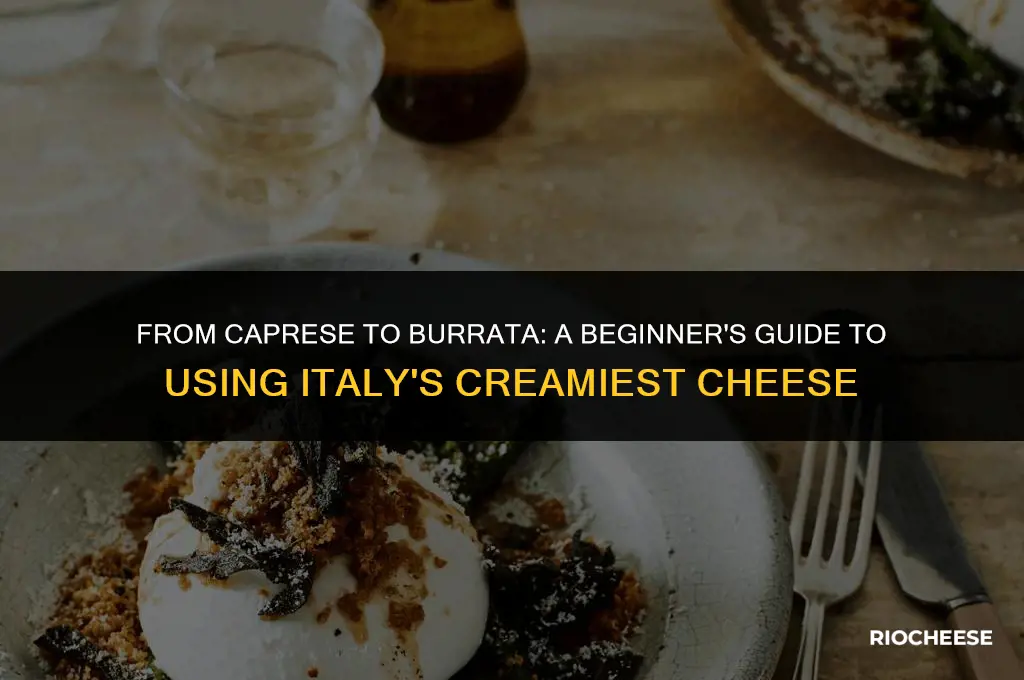 how to use burrata cheese
