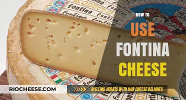 Exploring Fontina: A Guide to Using This Versatile Cheese