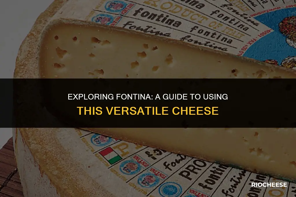 how to use fontina cheese