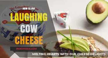 Delicious Creations: Mastering the Art of Laughing Cow Cheese