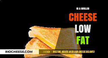Savoring Health: The Truth About Grilled Cheese and Fat Content