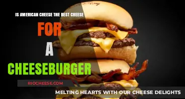 The Great Debate: Is American Cheese the Ultimate Cheeseburger Choice?