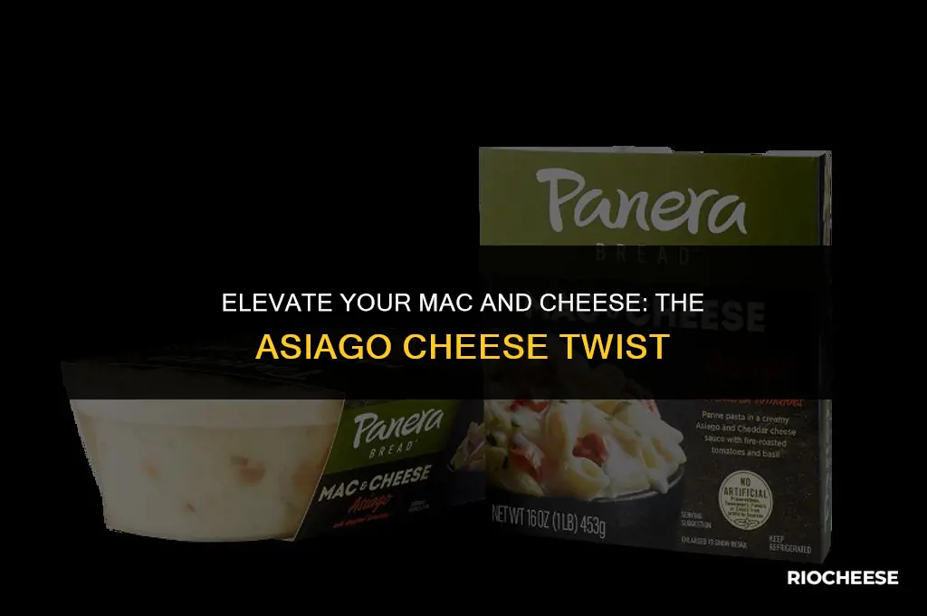 is asiago cheese good for mac and cheese