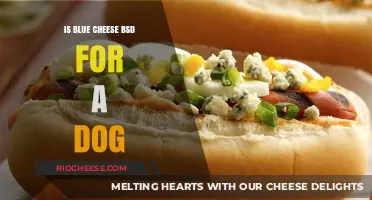 Blue Cheese for Dogs: A Tasty Treat or a Risky Choice?