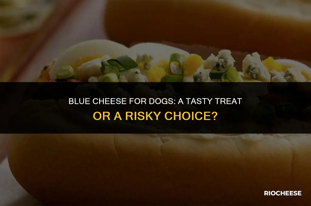 is blue cheese bsd for a dog