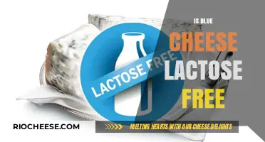 Exploring Dairy Alternatives: Is Blue Cheese Lactose-Free?